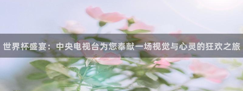 足球世界杯赛程：世界杯盛宴：中央电视台为您奉献一场视觉与心灵的狂欢之旅