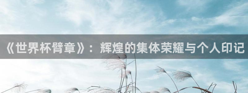 世界杯 中国：《世界杯臂章》：辉煌的集体荣耀与个人印记