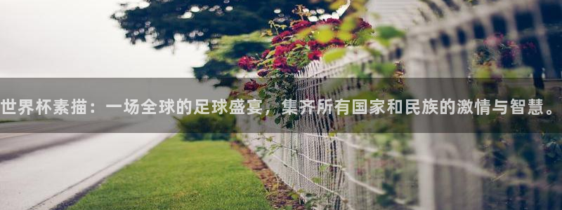 世界杯预选赛亚洲区积分榜：世界杯素描：一场全球的足球盛宴，集齐所有国家和民族的激情与智慧。