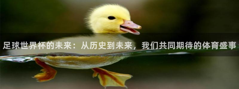 2026世界杯足球赛程时间表：足球世界杯的未来：从历史到未来，我们共同期待的体育盛事