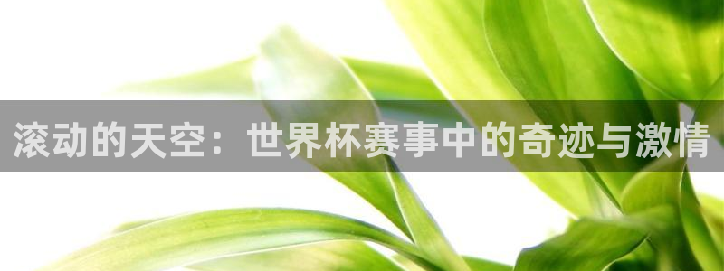 足球世界杯2026年赛程时间表：滚动的天空：世界杯赛事中的奇迹与激情