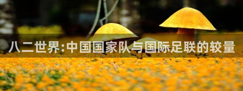 世界杯欧洲区预选赛赛程：八二世界:中国国家队与国际足联的较量