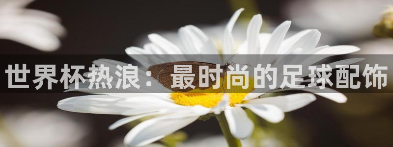 世界杯决赛直播：世界杯热浪：最时尚的足球配饰
