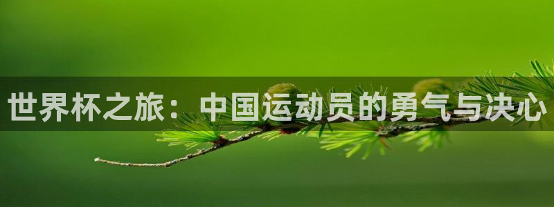 世界直播：世界杯之旅：中国运动员的勇气与决心