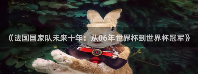 法国杯2026赛程表：《法国国家队未来十年：从06年世界杯到世界杯冠军》