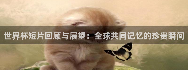 世界杯预选赛欧洲赛区赛程：世界杯短片回顾与展望：全球共同记忆的珍贵瞬间
