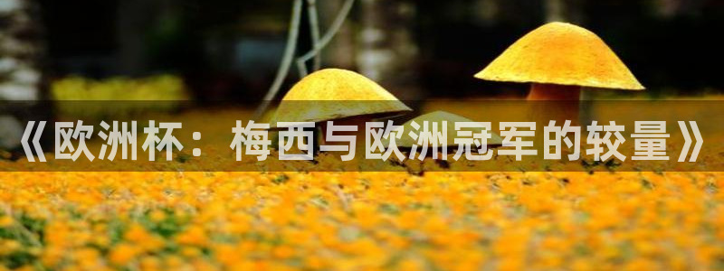 2026世界杯32强对阵图表：《欧洲杯：梅西与欧洲冠军的较量》