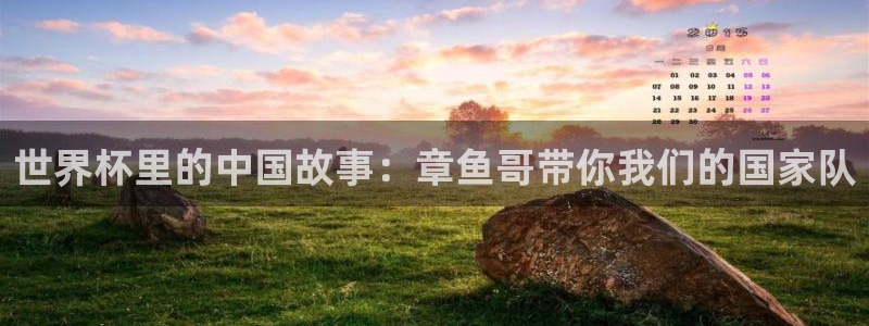 2026世界杯赛程时间表最新：世界杯里的中国故事：章鱼哥带你我们的国家队