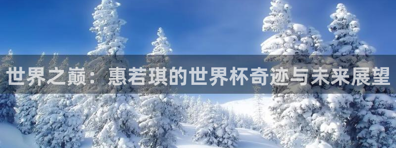 世预赛直播：世界之巅：惠若琪的世界杯奇迹与未来展望